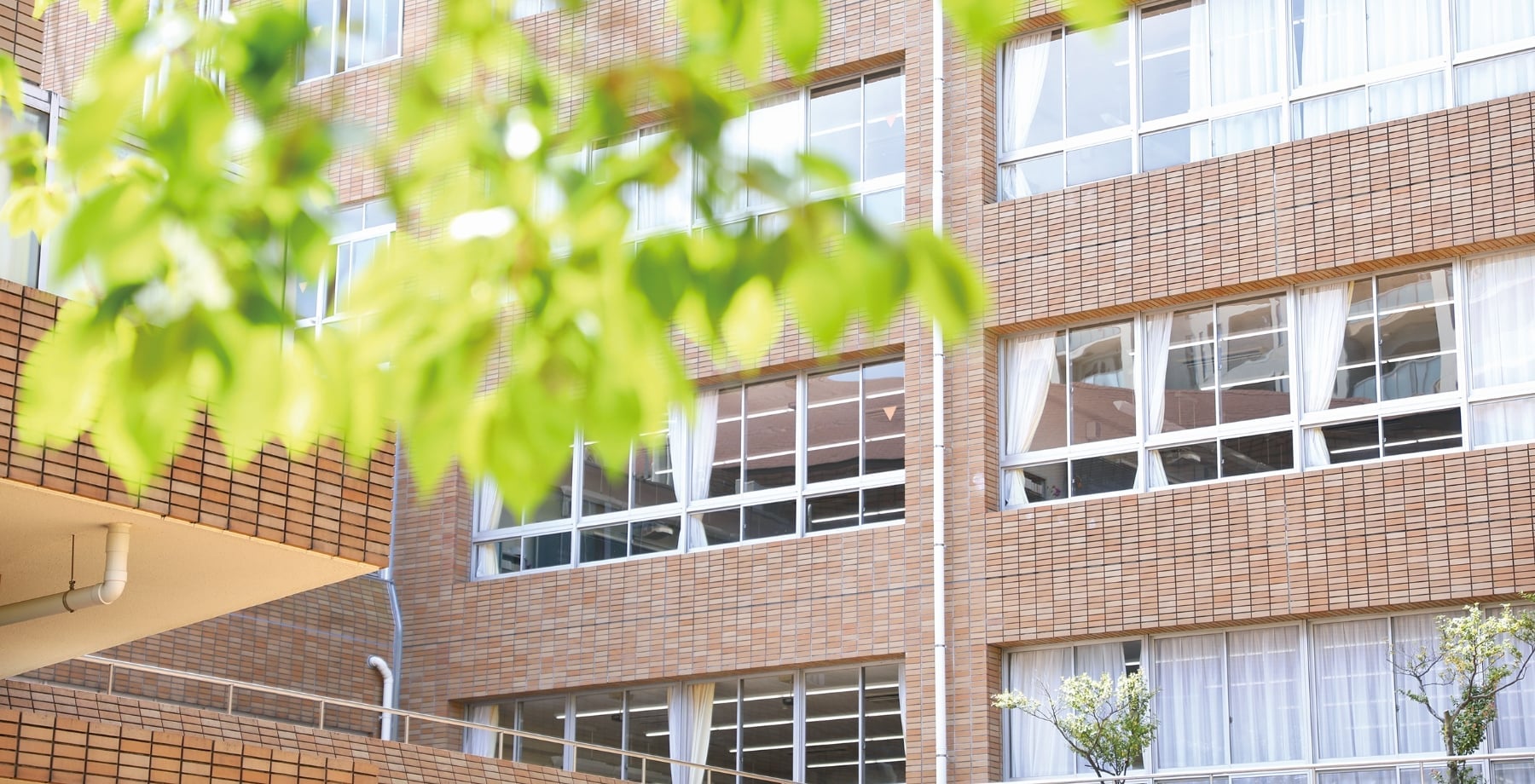 学校紹介