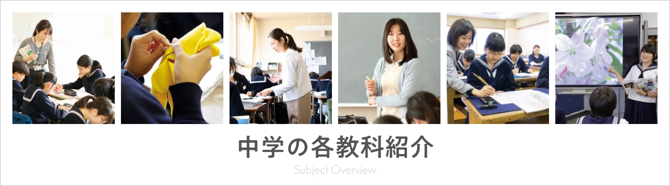 中学の各教科紹介